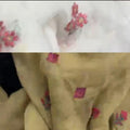 Bareeze emb dupatta deal