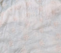 Bareeze Emb Chiffon Dupatta