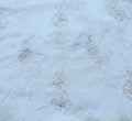 Bareeze Emb Chiffon Dupatta