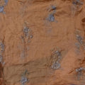 Bareeze Emb Chiffon Dupatta