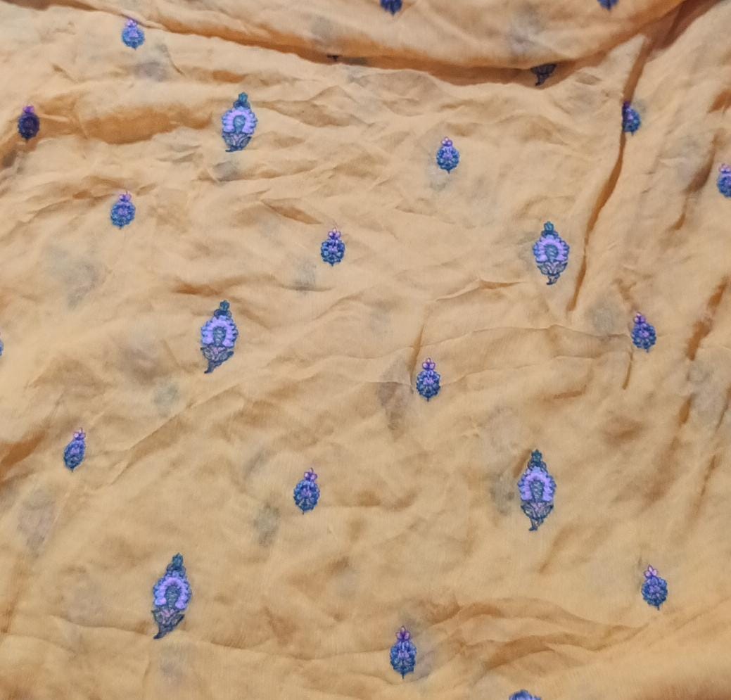 Bareeze Emb chiffon dupatta
