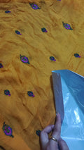 Bareeze embroidered chiffon dupatta