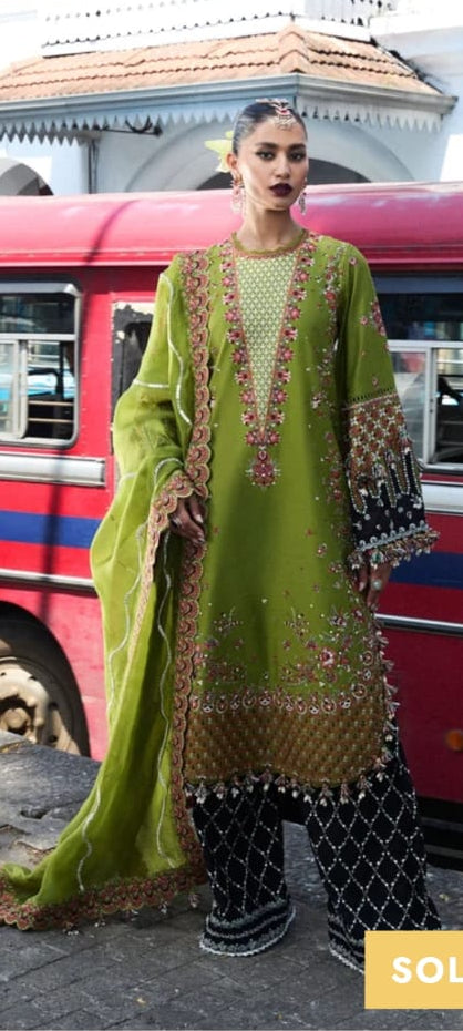 Hussain rehar organza  Emb dupatta
