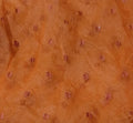 Branded organza emb dupatta