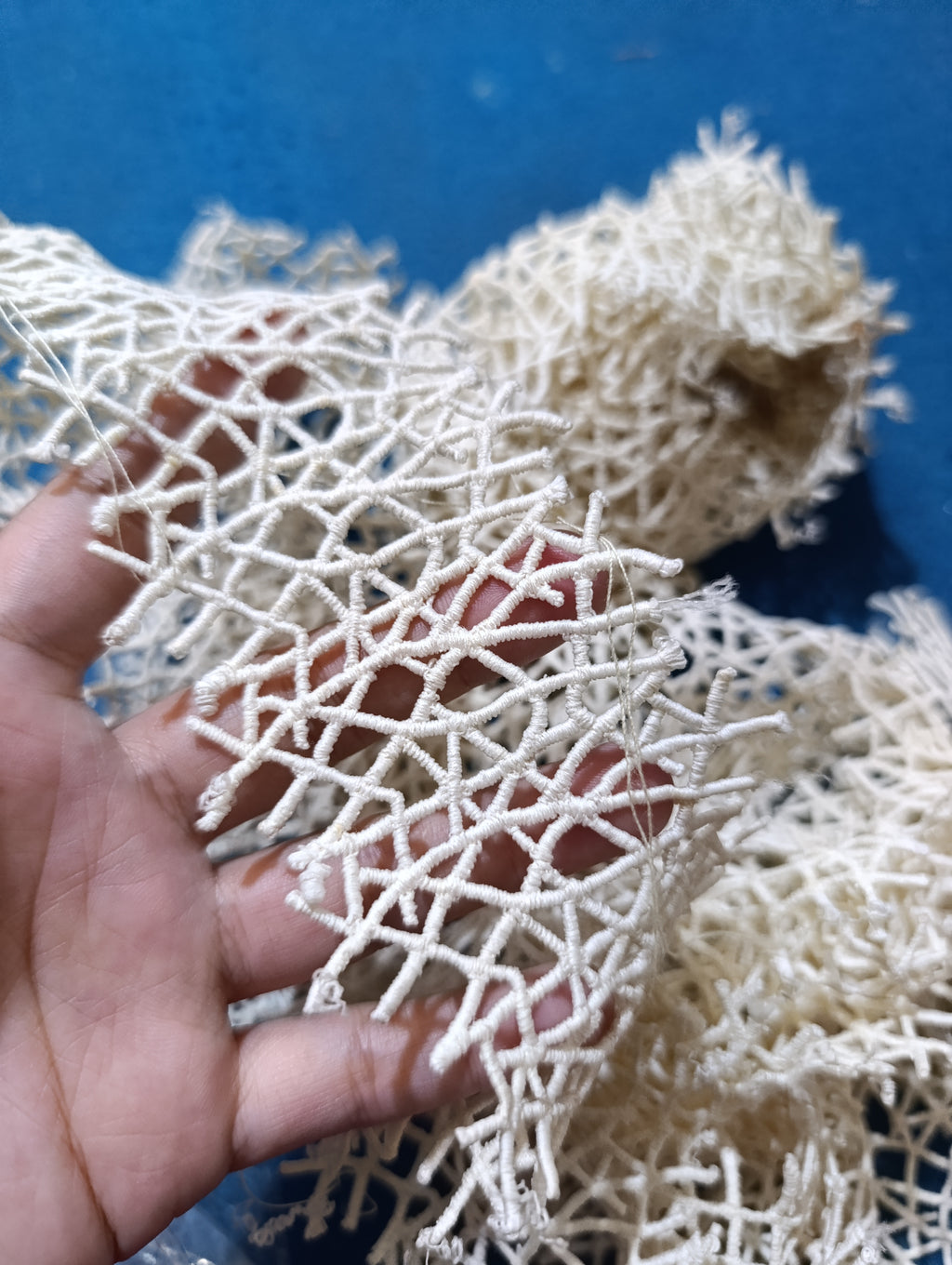 Kanwal Malik diyable laces per yard